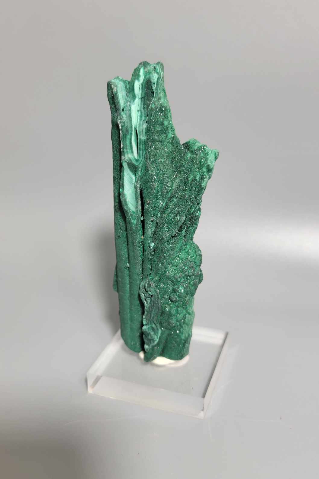 Natural Raw Malachite Stalactite Specimen 💚