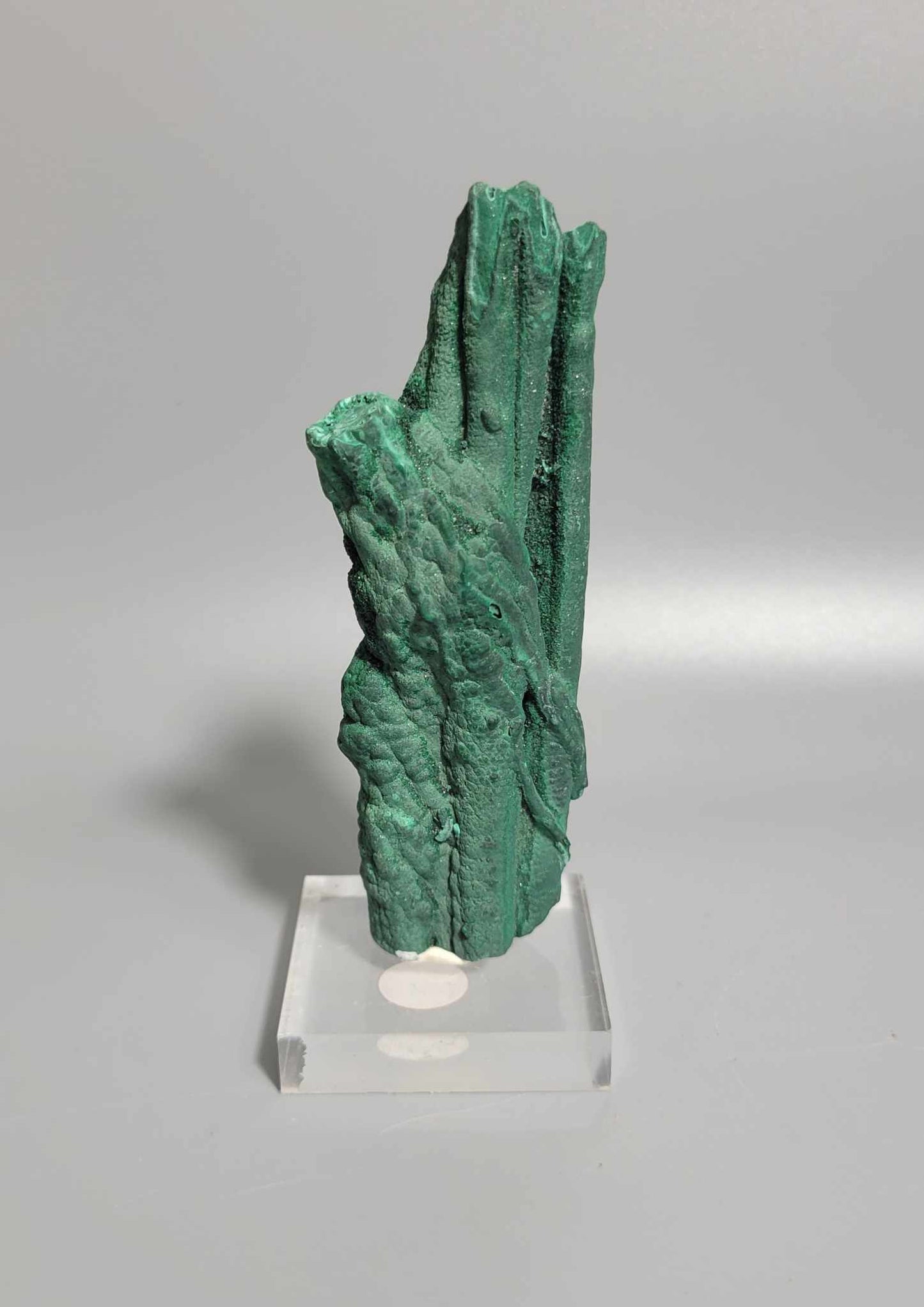 Natural Raw Malachite Stalactite Specimen 💚