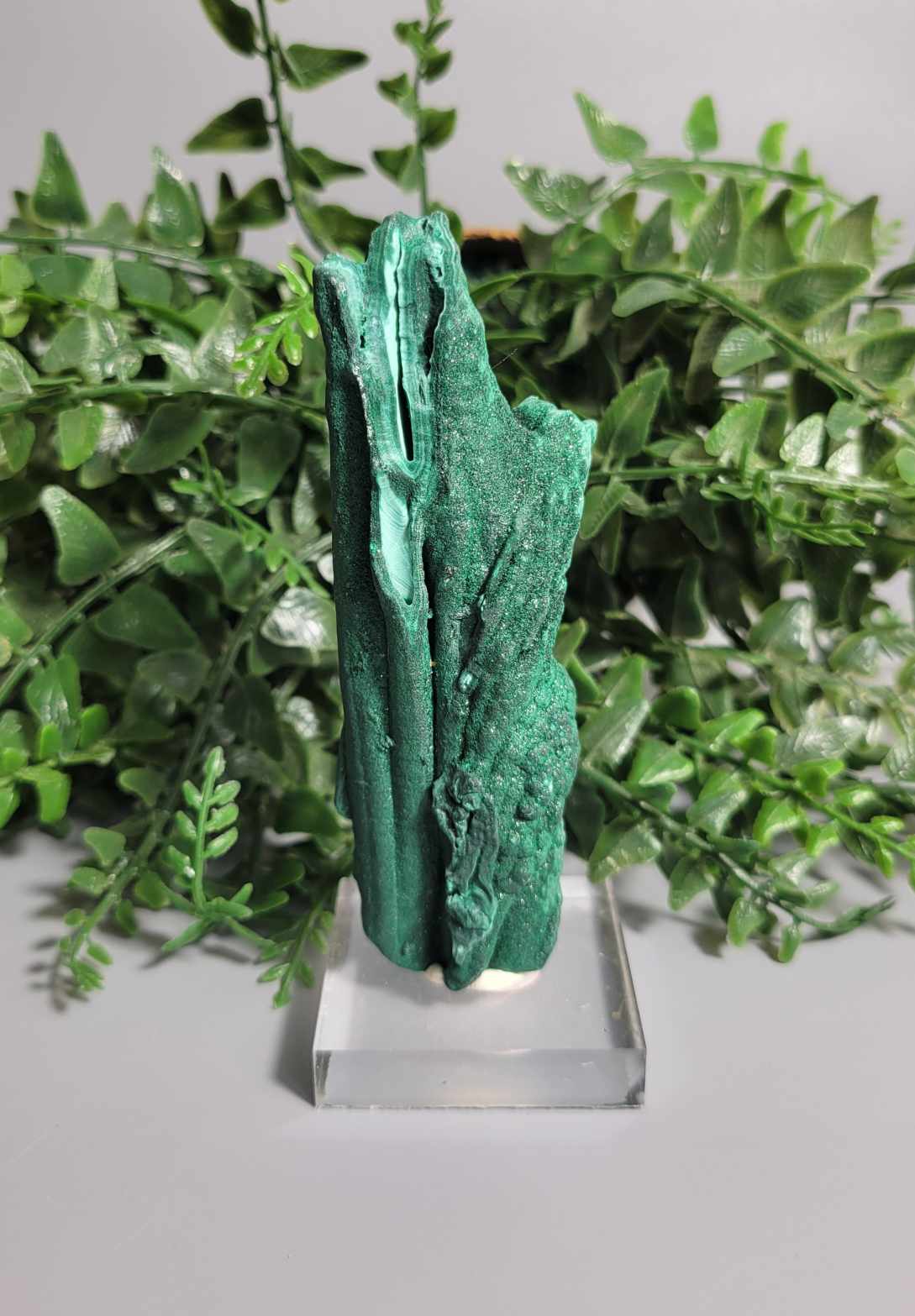 Natural Raw Malachite Stalactite Specimen 💚