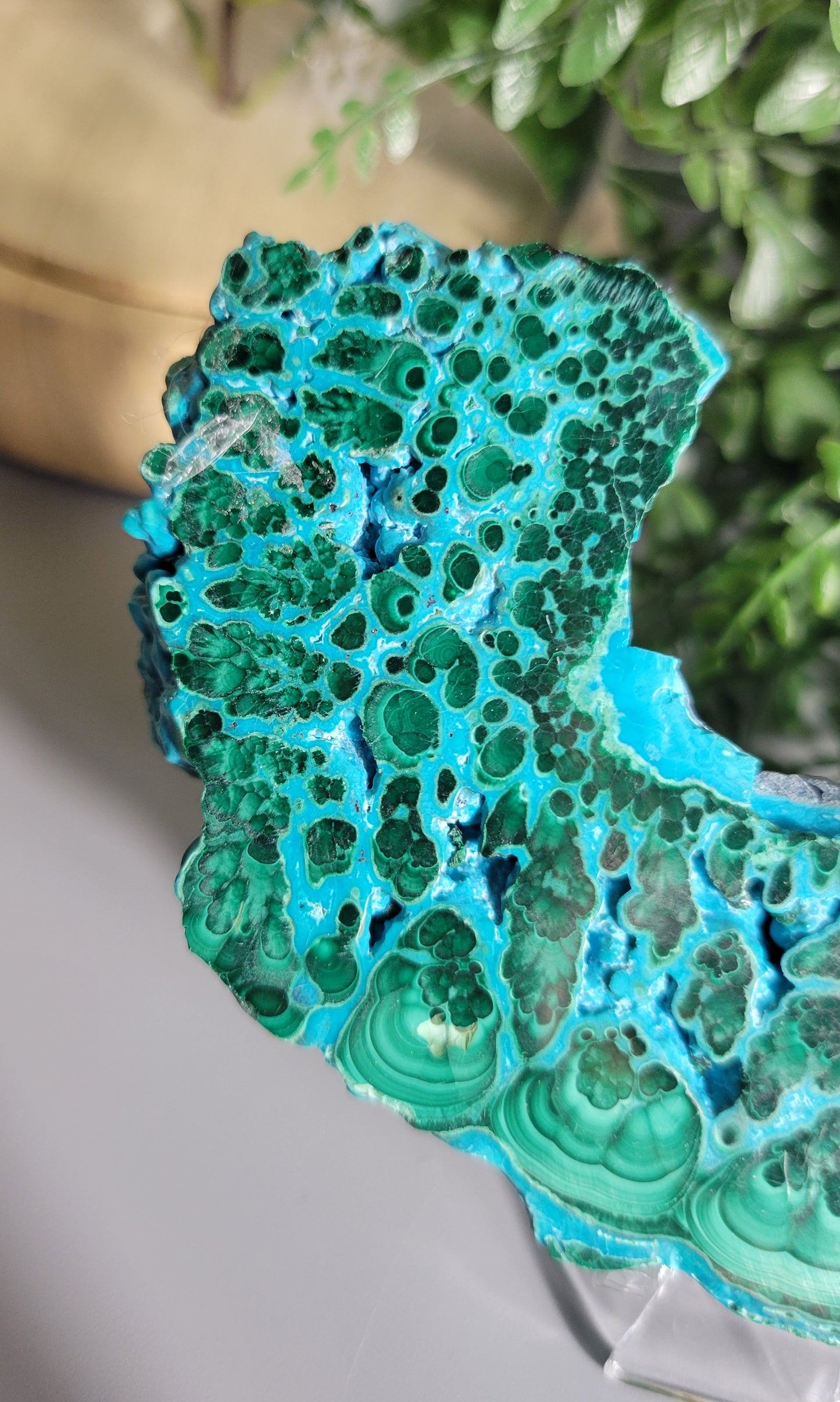 Vibrant malachite chrysocolla slab