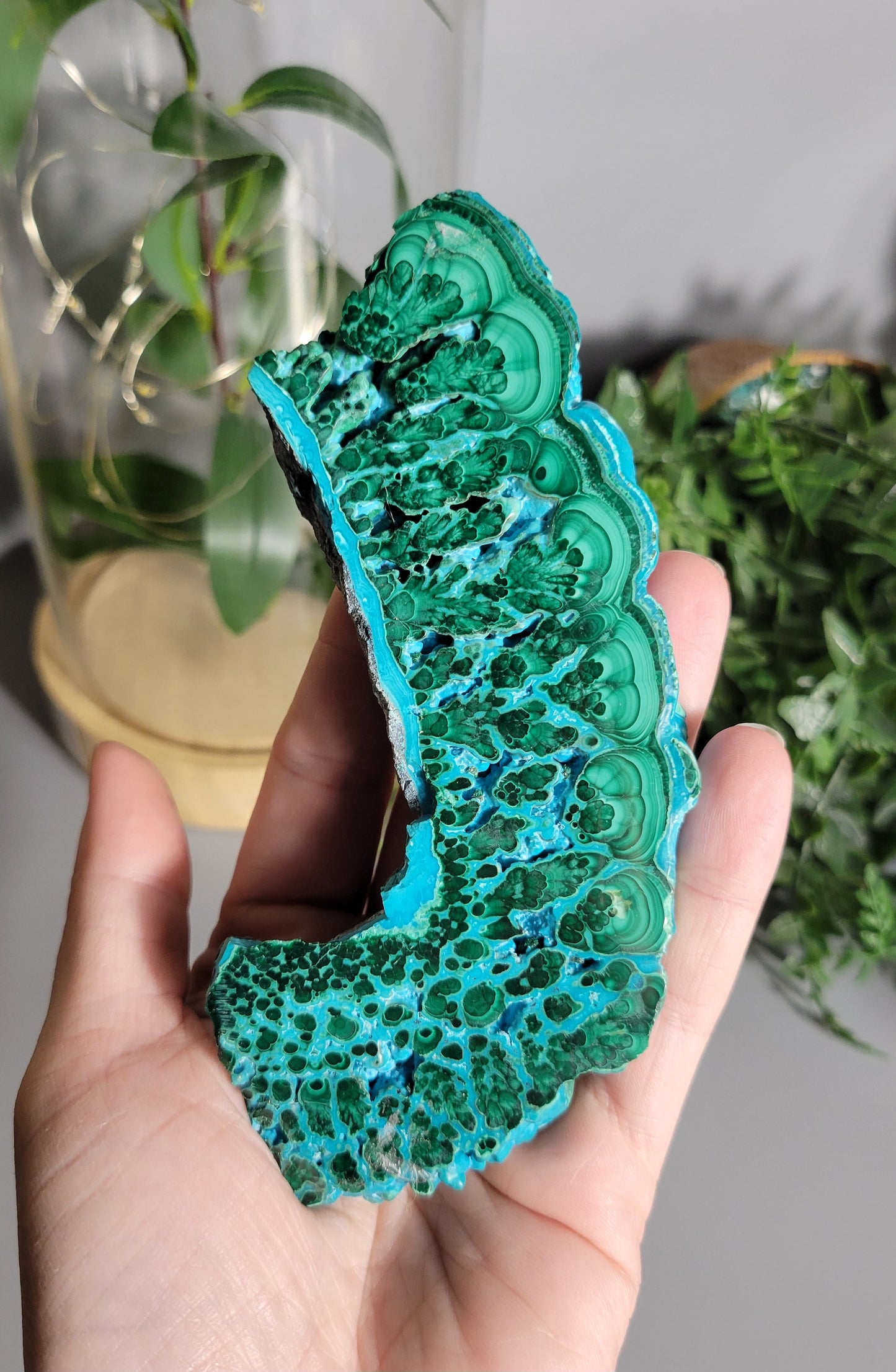 Vibrant malachite chrysocolla slab