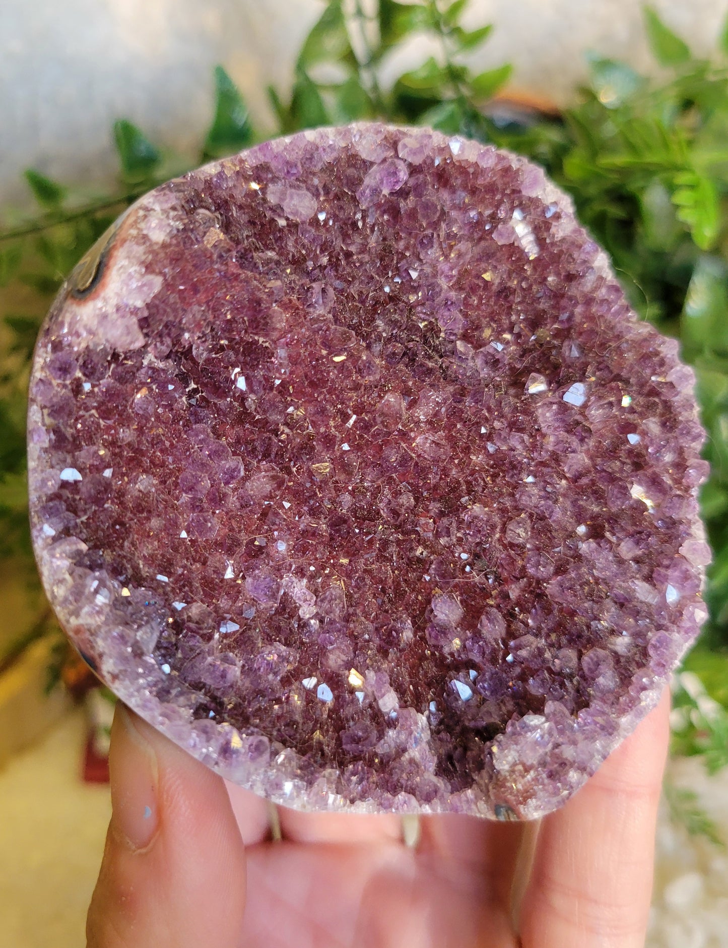 Berry Amethyst Cupcake Cut base freeform