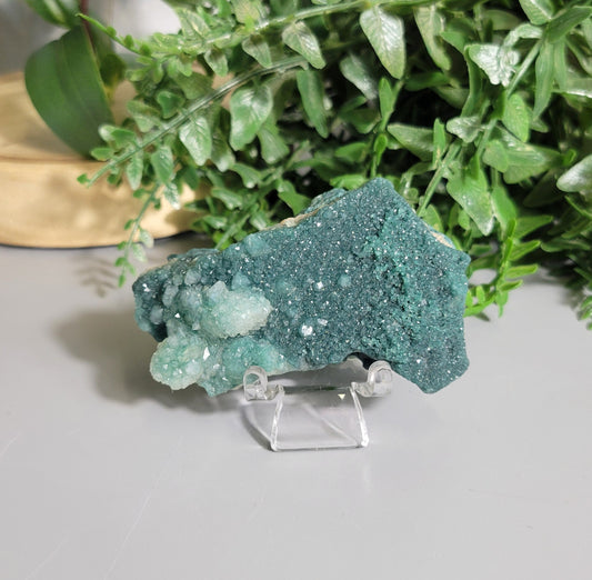 Green Marshy Apophylite 💚