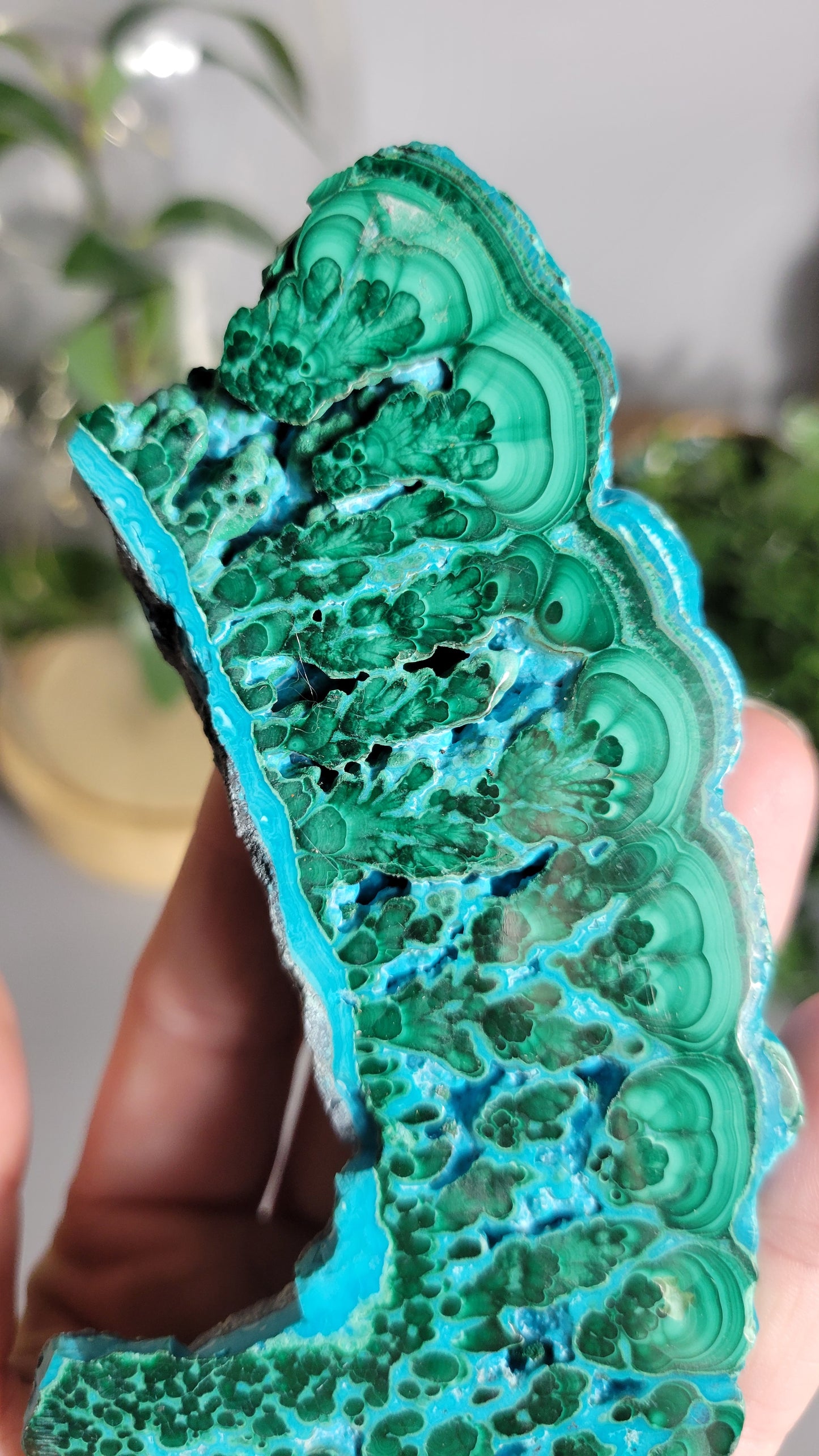 Vibrant malachite chrysocolla slab